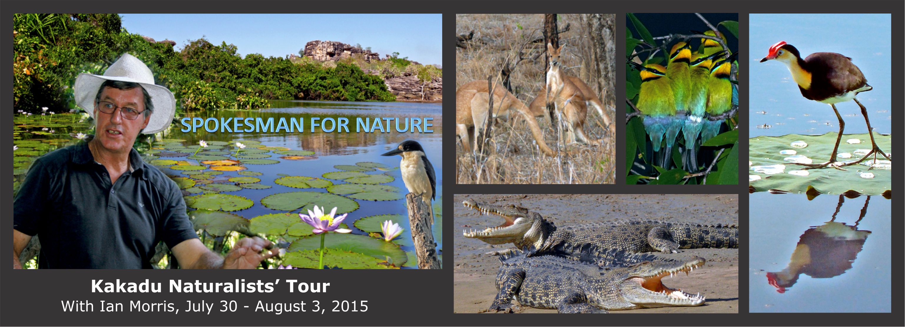Kakadu Naturalists' Tour 30 July-3 August, 2015